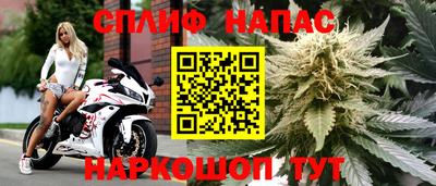 дмт Новозыбков