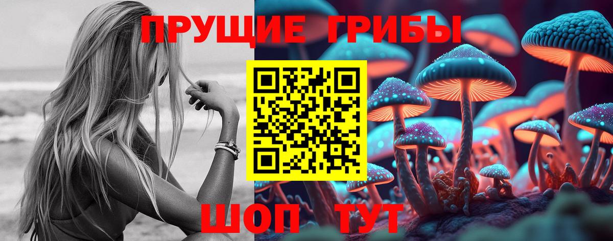 Псилоцибиновые грибы мухоморы  хочу наркоту  Сочи  Вход с VPN 